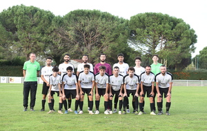 COUPE DU CONSEIL DEPARTEMENTAL