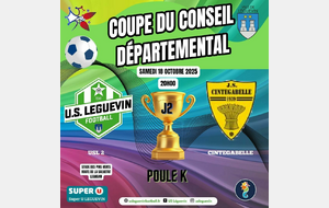 COUPE DU CONSEIL DEPARTEMENTAL