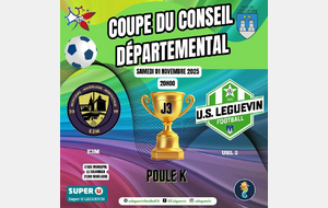 COUPE DU CONSEIL DEPARTEMENTAL